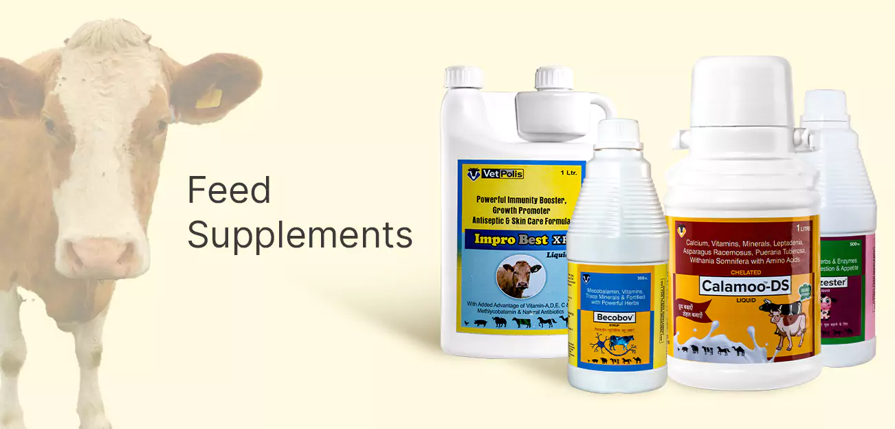 Liquid Feed Supplements | Veterinary Feed Supplement