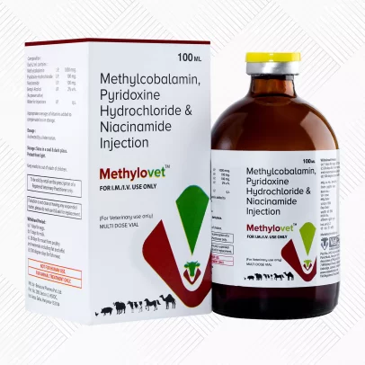 Methylovet Injection 100ml