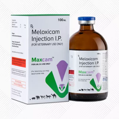 Maxcam Injection 100ml