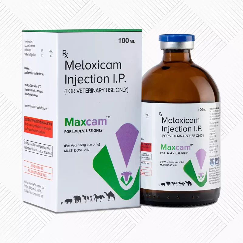 Maxcam Injection 100ml