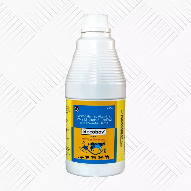 Becobov Syrup 500ml