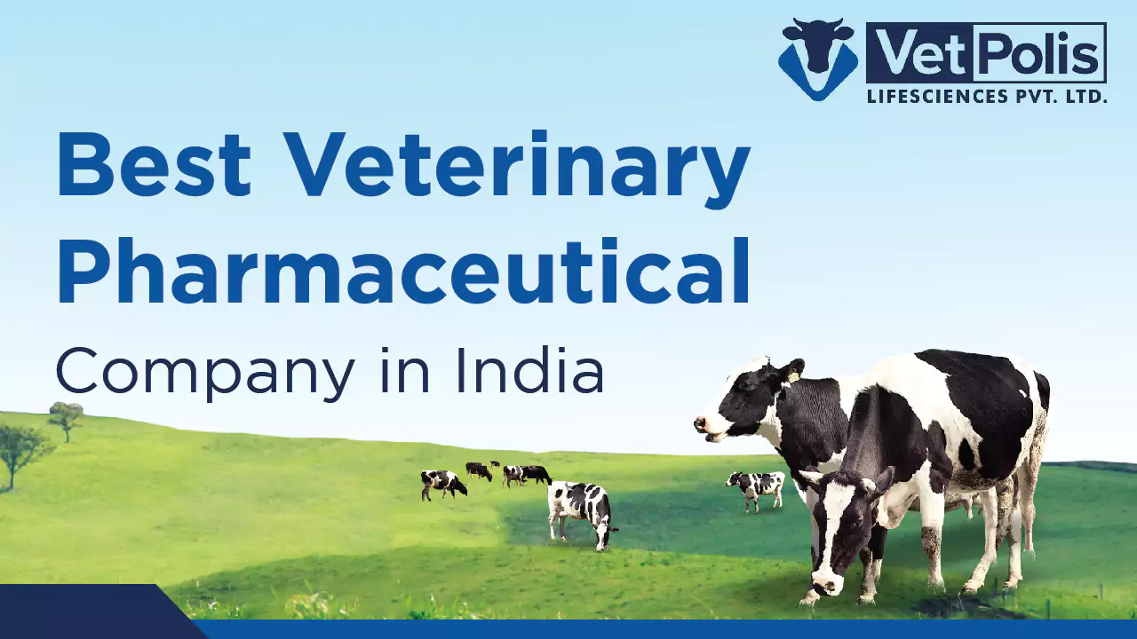 veterinary pharmaceutical company