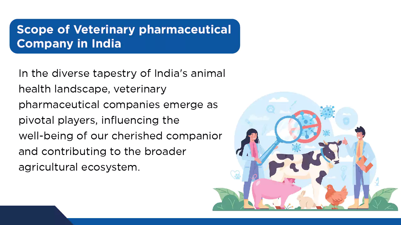 veterinary pcd pharma company