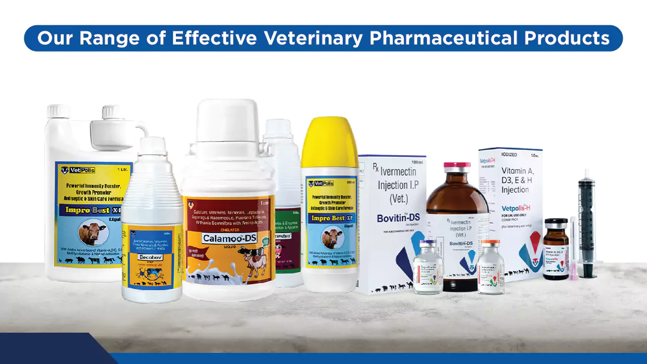 effective Veterinary company and products