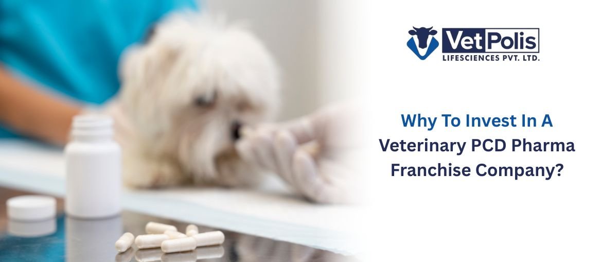 Why To Invest In A Veterinary PCD Pharma Franchise Company?