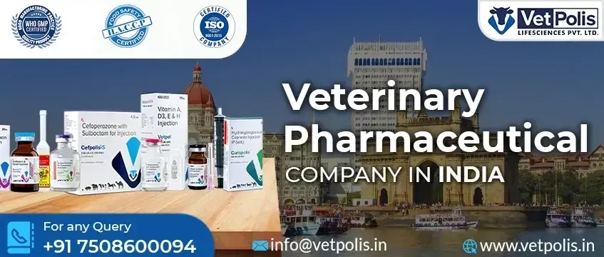 How to start  Veterinary Pharmaceutical Company in India