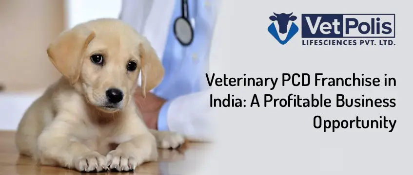 Veterinary PCD Franchise in India: A Profitable Business Opportunity