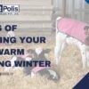 What Are Some Ways Of Keeping Your Pet Warm During Winter?
