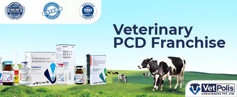 Veterinary PCD Franchise