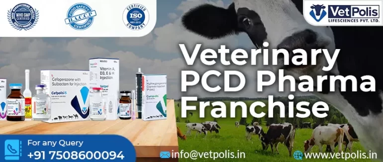 Veterinary PCD Pharma Franchise