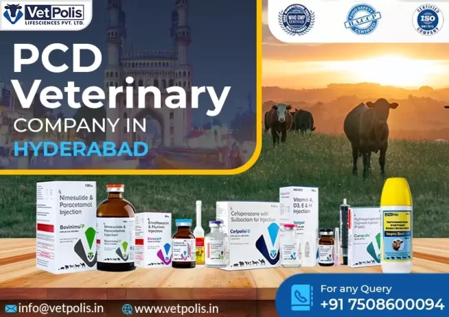 PCD Veterinary Company In Hyderabad