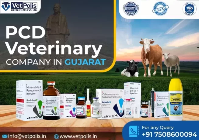 PCD Veterinary Company In Gujarat