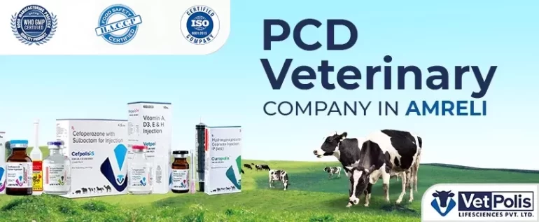 PCD Veterinary Company In Amreli