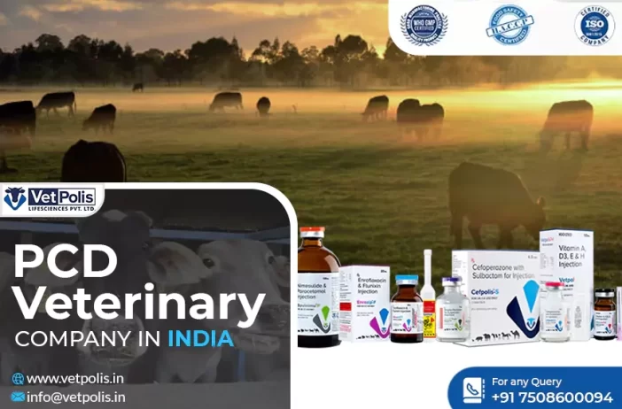 veterinary pcd company veterinary pcd pharma company pcd veterinary company in india