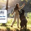 Outdoor Activities For Your Dog This Summer Season