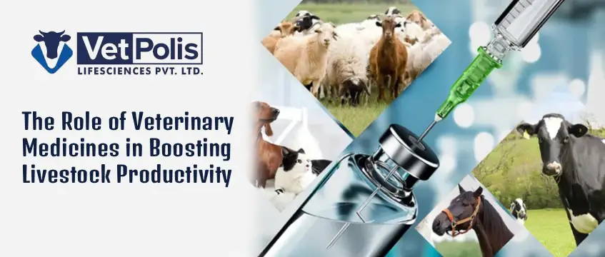 The Role of Veterinary Medicines in Boosting Livestock Productivity