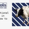 Common Nutritional Deficiencies in Cattle and How to Prevent Them