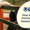 How to Keep Your Pet Healthy During Seasonal Changes?