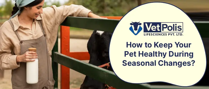 How to Keep Your Pet Healthy During Seasonal Changes?