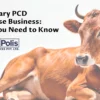 Veterinary PCD Franchise Business: What You Need to Know