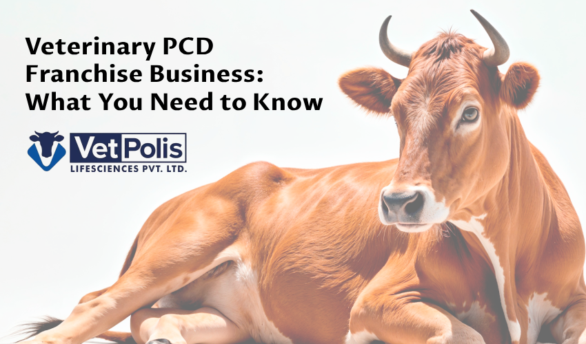 Veterinary PCD Franchise Business: What You Need to Know
