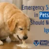 Emergency Signs in Pets You Should Never Ignore