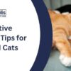 Preventive Healthcare Tips for Dogs and Cats