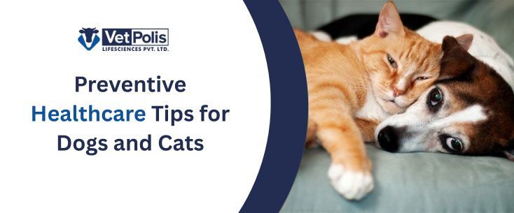 Preventive Healthcare Tips for Dogs and Cats