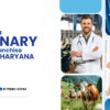 Veterinary PCD Pharma Franchise Company in Haryana