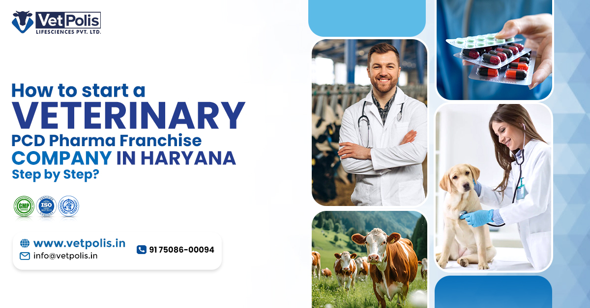 Veterinary PCD Pharma Franchise Company in Haryana